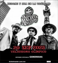 REGGEA Y SKA EN LA VECINDAD 