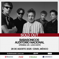 BABASONICOS 